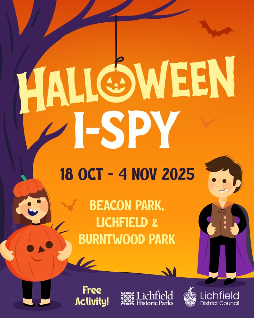 Halloween I-spy social graphic
